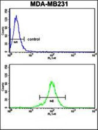  Flow cytometric analysis of RPGRIP1 antibody in MDA-MB231 cell line lysates 