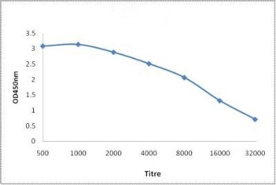 Line graph illustrates about the Ag-Ab reactions using different concentrations of antigen and serial dilutions of COX3 antibody