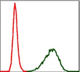  Flow cytometric analysis of NIH/3T3 cells using TUBA8 antibody