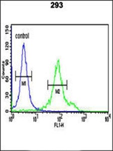  Flow cytometric analysis of 293 cells using CYP27B1 antibody 