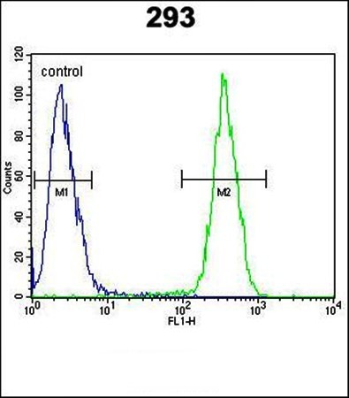  Flow cytometric analysis of CLPX antibody in 293 cell line lysates