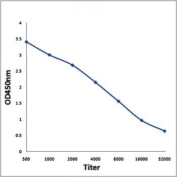 Line graph illustrates about the Ag-Ab reactions using different concentrations of antigen and serial dilutions of Myosin VIIa antibody