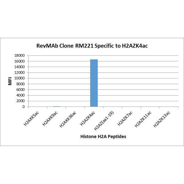 RM221 specifically reacts to Histone H2A.Z acetylated<code><br /></code>at Lysine 4 (K4ac). No cross reactivity with non-modified<code><br /></code>Lysine 4 or other acetylated Lysines in histone H2A.<code><br /></code>