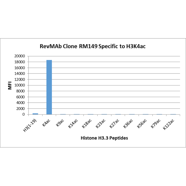 RM149 specifically reacts to Histone H3 acetylated<code><br /></code>at Lysine 4 (K4ac). No cross reactivity with non-<code><br /></code>modified Lysine 4, acetylated Lysine 9 (K9ac), Lysine<code><br /></code>14 (K14ac), Lysine 18 (K18ac),Lysine 23 (K23ac), <code><br /></code> Lysine 27 (K27ac), Lysine 36 (K36ac), Lysine 56<code><br /></code> (K56ac), lysine 79 (K79ac), or Lysine 122 (K122) in<code><br /></code>histone H3.<code><br /></code>