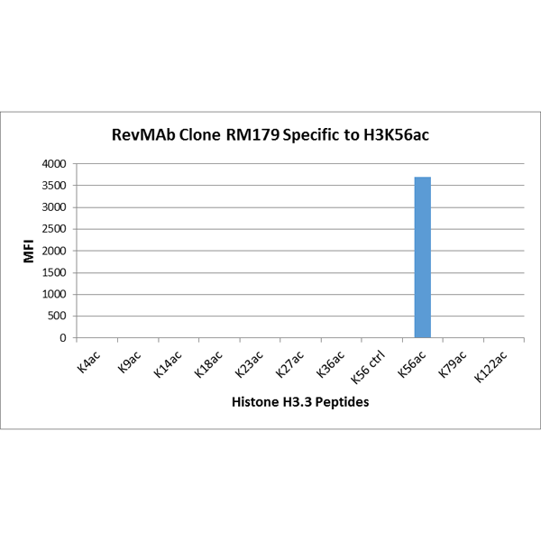 RM179 specifically reacts to Histone H3 acetylated at Lysine 56<code><br /></code>(K56ac). No cross reactivity with unmodified Lysine 56 (K56 ctrl),<code><br /></code>acetylated Lysine 4 (K4ac), Lysine 9 (K9ac), Lysine 14 (K14ac),<code><br /></code>Lysine 18 (K18ac), Lysine 23 (K23ac), Lysine 27 (K27ac), Lysine 36 <code><br /></code>(K36ac), lysine 79 (K79ac), or Lysine 122 (K122) in histone H3.<code><br /></code>