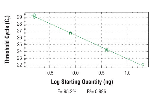 SimpleChIP ® Human SF3B3 Exon 1 Primers were tested on DNA isolated from cross-linked cells using the SimpleChIP ® Enzymatic Chromatin IP Kit (Magnetic Beads) #9003. Real-time PCR was performed in duplicate on a serial dilution of 2% total input DNA (20 ng, 4 ng, 0.8 ng, and 0.16 ng) using a real-time PCR detection system and SYBR ® Green reaction mix. The PCR amplification efficiency (E) and correlation coefficient (R 2 ) were calculated based on the corresponding threshold cycle (C T ) of each dilution sample during 40 cycles of real-time PCR (95°C denaturation for 15 sec, 65°C anneal/extension for 60 sec).