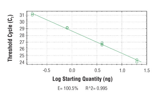 SimpleChIP ® Human TRIO Exon 57 Primers were tested on DNA isolated from cross-linked cells using the SimpleChIP ® Enzymatic Chromatin IP Kit (Magnetic Beads) #9003. Real-time PCR was performed in duplicate on a serial dilution of 2% total input DNA (20 ng, 4 ng, 0.8 ng, and 0.16 ng) using a real-time PCR detection system and SYBR ® Green reaction mix. The PCR amplification efficiency (E) and correlation coefficient (R 2 ) were calculated based on the corresponding threshold cycle (C T ) of each dilution sample during 40 cycles of real-time PCR (95°C denaturation for 15 sec, 65°C anneal/extension for 60 sec).