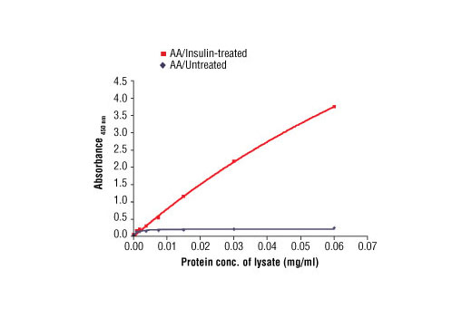 The relationship between the protein concentration of lysate from amino acid (AA)/untreated and AA/insulin-treated HEK- 293T cells and the absorbance at 450 nM using PathScan ® Phospho-4E-BP1 (Thr37/Thr46) Sandwich ELISA Antibody Pair #7854 is shown. HEK-293T cells were serum-starved overnight and deprived of amino acids for 1 hour. The amino acids were replenished for 1 hour. Cells were either untreated or stimulated with 100 nM insulin for 30 minutes at 37ºC.