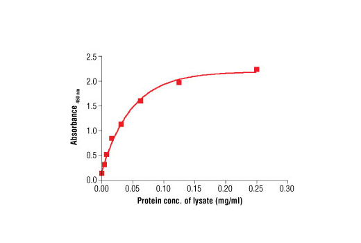 Figure 1. The relationship between the protein concentration of the lysate from HeLa cells and the absorbance at 450 nm using the PathScan ® Total β-Actin Sandwich ELISA Antibody Pair is shown.