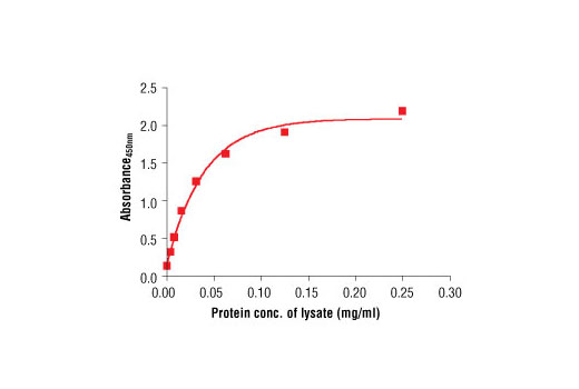 Figure 2. The relationship between the protein concentration of the lysate from HeLa cells and the absorbance at 450 nm is shown.