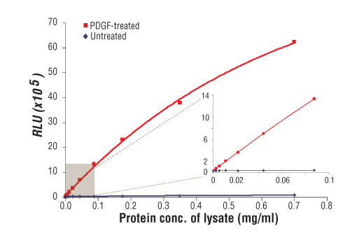 Figure 1: Relationship between protein concentration of lysates from untreated and PDGF-treated NIH/3T3 cells and immediate light generation with chemiluminescent substrate is shown. Cells (80% confluence) were treated with PDGF #9909 (50 ng/ml) and lysed after incubation at 37ºC for 5 minutes. Graph inset corresponding to the shaded area shows high sensitivity and a linear response at the low protein concentration range.