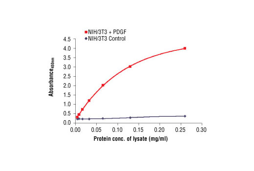 The relationship between lysate protein concentration from untreated and PDGF-treated NIH/3T3 cells and the absorbance at 450 nm using PathScan Phospho-Akt1 (Ser473) Sandwich ELISA Antibody Pair #7143 is shown. After overnight starvation, NIH/3T3 cells were treated with PDGF (50 ng/ml) for 20 minutes at 37ºC and then lysed.
