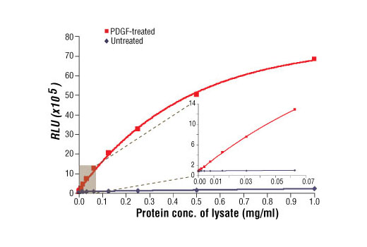 Figure 1: Relationship between protein concentration of lysates from untreated and PDGF-treated NIH/3T3 cells and immediate light generation with chemiluminescent substrate is shown. Cells (80% confluence) were treated with PDGF #9909 (50 ng/ml) and lysed after incubation at 37ºC for 20 minutes. Graph inset corresponding to the shaded area shows high sensitivity and a linear response at the low protein concentration range.