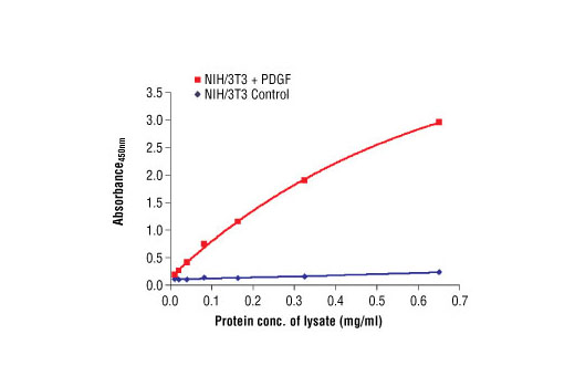 The relationship between lysate protein concentration from untreated and PDGF-treated NIH/3T3 cells and the absorbance at 450 nm using PathScan ® Phospho-Akt (Thr308) Sandwich ELISA Antibody Pair #7144 is shown. After overnight starvation, NIH/3T3 cells were treated with PDGF (50 ng/ml) for 10 minutes at 37ºC and then lysed.