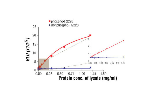 Relationship between protein concentrations of lysates prepared using NCI-H2228 cells lysed with (phospho) and without (nonphospho) the addition of phosphatase inhibitors to the lysis buffer. Graph inset corresponding to the shaded area shows high sensitivity and a linear response at the low protein concentration range.