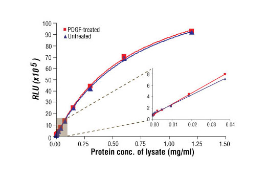 Relationship between protein concentrations of lysates prepared using NCI-H2228 cells lysed with (phospho) and without (nonphospho) the addition of phosphatase inhibitors to the lysis buffer. Graph inset corresponding to the shaded area shows high sensitivity and a linear response at the low protein concentration range.