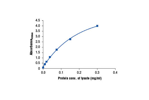 Figure 2. The relationship between protein concentration of lysates from LNCaP cells and the absorbance at 450 nm is shown. LNCaP cells (85% confluence) were harvested and then lysed.