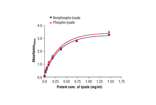 Figure 2: The relationship between protein concentration of phospho or nonphospho lysates and the absorbance at 450 nm is shown. NCI-H2347 cells were cultured (85% confluence) and lysed with or without the addition of phosphatase inhibitor to the lysis buffer (phospho or nonphospho lysate).