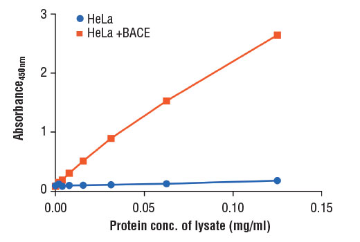 Figure 2: The relationship between protein concentration of lysates from HeLa cells, untransfected or transfected with a construct expressing BACE protein, and the absorbance at 450 nm as detected by the PathScan ® Total BACE Sandwich ELISA Kit is shown.
