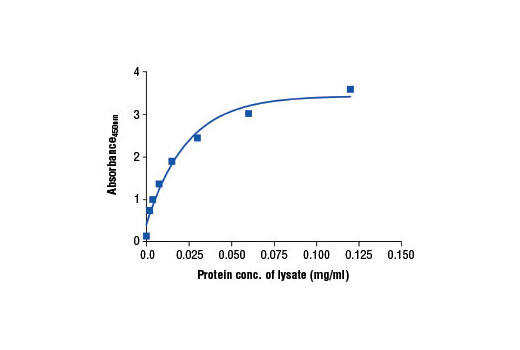 Figure 2. The relationship between protein concentration of lysates from HeLa cells and the absorbance at 450 nm is shown. HeLa cells (85% confluence) were harvested and then lysed.