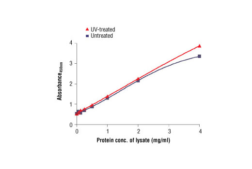 Figure 2. The relationship between the protein concentration of lysates from untreated and UV-treated HeLa cells and the absorbance at 450 nm using the PathScan ® Total Chk1 Sandwich ELISA Kit #7872 is shown.