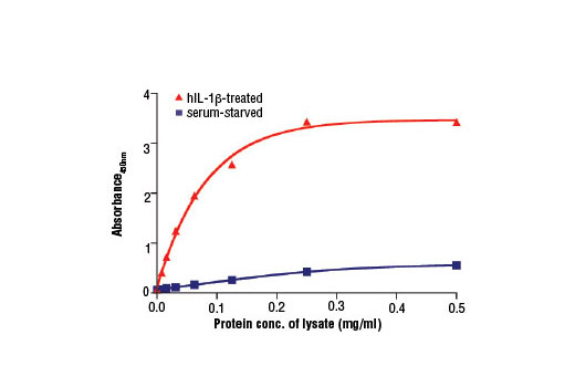 Figure 2. The relationship between the protein concentration of lysates from CCD-1070Sk cells, serum starved or hIL-1β-treated, and the absorbance at 450 nm is shown. CCD-1070Sk cells (80-90% confluent) were serum starved or treated with hIL-1β #8900 (5 ng/ml, 16 hr) and then lysed.