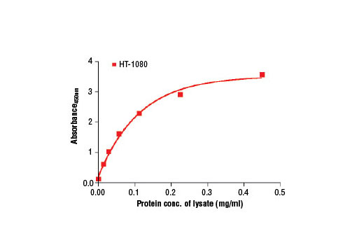 Figure 2. The relationship between protein concentration of lysates from HT-1080 cells and the absorbance at 450 nm is shown. HT-1080 cells (80% confluence) were harvested and then lysed.