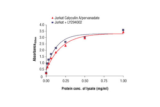 Figure 2. The relationship between the protein concentration of lysates from Jurkat cells treated with calyculin A and pervanadate or LY294002 and the absorbance at 450 nm using PathScan ® Total eIF2α Sandwich ELISA Kit is shown.