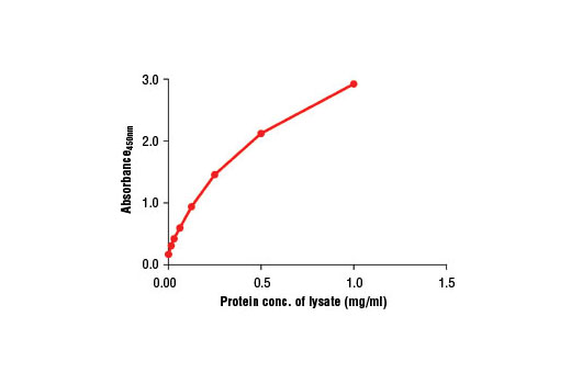 Figure 2. The relationship between protein concentration of lysates from COS-7 cells and the absorbance at 450 nm as detected by the PathScan ® Total Ezh2 Sandwich ELISA Kit is shown.