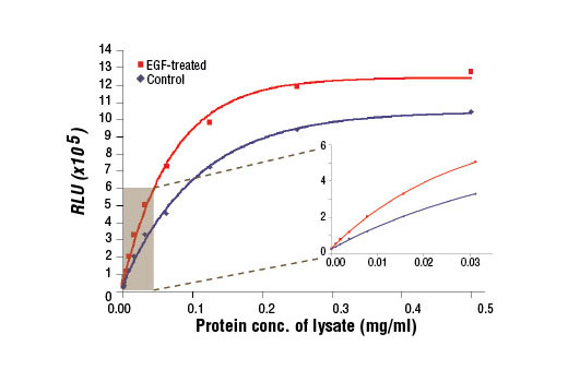  Figure 1. The relationship between protein concentration of lysates from A-431 cells, untreated or treated with hEGF #8916, and immediate light generation with chemiluminescent substrate. After starvation, A-431 cells (85% confluence) were treated with hEGF (100 ng/ml, 5 min at 37°C) and then lysed. Graph inset corresponding to the shaded area shows high sensitivity and a linear response at the low protein concentration range.