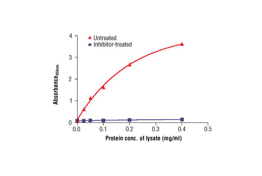 Figure 2: The relationship between total protein concentration of the lysate from untreated or inhibitor-treated SEM cells and absorbance at 450 nm is shown. Unstarved SEM cells (10-6 cells/ml) were left untreated or treated with CT-53518 (50 ng/ml) for 120 min and then lysed.