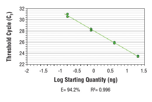 SimpleChIP ® Human β-Actin 3' UTR Primers were tested on DNA isolated from cross-linked cells using the SimpleChIP ® Enzymatic Chromatin IP Kit (Magnetic Beads) #9003. Real-time PCR was performed in duplicate on a serial dilution of 2% total input DNA (20 ng, 4 ng, 0.8 ng, and 0.16 ng) using a real-time PCR detection system and SYBR ® Green reaction mix. The PCR amplification efficiency (E) and correlation coefficient (R 2 ) were calculated based on the corresponding threshold cycle (C T ) of each dilution sample during 40 cycles of real-time PCR (95°C denaturation for 15 sec, 65°C anneal/extension for 60 sec).