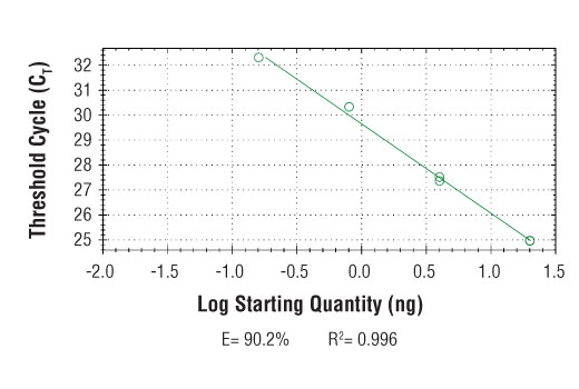 SimpleChIP ® Human IKZF3 Promoter Primers were tested on DNA isolated from cross-linked cells using the SimpleChIP ® Enzymatic Chromatin IP Kit (Magnetic Beads) #9003. Real-time PCR was performed in duplicate on a serial dilution of 2% total input DNA (20 ng, 4 ng, 0.8 ng, and 0.16 ng) using a real-time PCR detection system and SYBR ® Green reaction mix. The PCR amplification efficiency (E) and correlation coefficient (R 2 ) were calculated based on the corresponding threshold cycle (C T ) of each dilution sample during 40 cycles of real-time PCR (95°C denaturation for 15 sec, 65°C anneal/extension for 60 sec).
