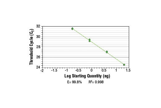 SimpleChIP ® Mouse GAPDH Intron 2 Primers were tested on DNA isolated from cross-linked cells using the SimpleChIP ® Enzymatic Chromatin IP Kit (Magnetic Beads) #9003. Real-time PCR was performed in duplicate on a serial dilution of 2% total input DNA (20 ng, 4 ng, 0.8 ng, and 0.16 ng) using a real-time PCR detection system and SYBR ® Green reaction mix. The PCR amplification efficiency (E) and correlation coefficient (R 2 ) were calculated based on the corresponding threshold cycle (C T ) of each dilution sample during 40 cycles of real-time PCR (95°C denaturation for 15 sec, 65°C anneal/extension for 60 sec).