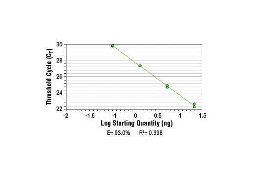 SimpleChIP ® Human GATA-6 Promoter Primers were tested on DNA isolated from cross-linked cells using the SimpleChIP ® Enzymatic Chromatin IP Kit (Magnetic Beads) #9003. Real-time PCR was performed in duplicate on a serial dilution of 2% total input DNA (20 ng, 4 ng, 0.8 ng, and 0.16 ng) using a real-time PCR detection system and SYBR ® Green reaction mix. The PCR amplification efficiency (E) and correlation coefficient (R 2 ) were calculated based on the corresponding threshold cycle (C T ) of each dilution sample during 40 cycles of real-time PCR (95°C denaturation for 15 sec, 65°C anneal/extension for 60 sec).