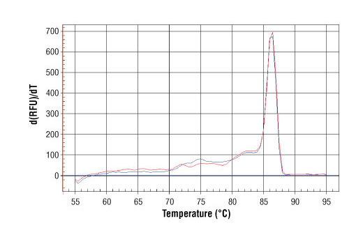 PCR product melting curves were obtained for real-time PCR reactions performed using SimpleChIP ® Human GATA-6 Promoter Primers. Data is shown for both duplicate PCR reactions using 20 ng of total DNA. The melt curve consists of 80 melt cycles, starting at 55°C with increments of 0.5°C per cycle. Each peak is formed from the degradation of a single PCR product.