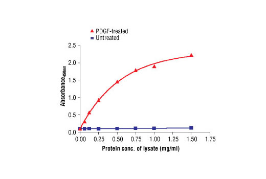  Figure 2. The relationship between the protein concentration of the lysate from untreated and PDGF-treated NIH/3T3 cells and the absorbance at 450 nm is shown.