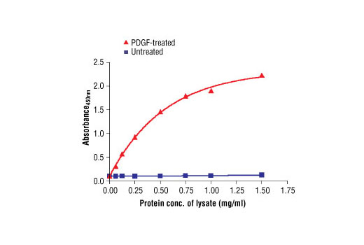 Figure 2. The relationship between the protein concentration of the lysate from untreated and PDGF-treated NIH/3T3 cells and the absorbance at 450 nm is shown.