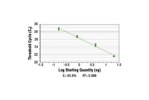SimpleChIP ® Mouse HoxA1 Promoter Primers were tested on DNA isolated from cross-linked cells using the SimpleChIP ® Enzymatic Chromatin IP Kit (Magnetic Beads) #9003. Real-time PCR was performed in duplicate on a serial dilution of 2% total input DNA (20 ng, 4 ng, 0.8 ng, and 0.16 ng) using a real-time PCR detection system and SYBR ® Green reaction mix. The PCR amplification efficiency (E) and correlation coefficient (R 2 ) were calculated based on the corresponding threshold cycle (C T ) of each dilution sample during 40 cycles of real-time PCR (95°C denaturation for 15 sec, 65°C anneal/extension for 60 sec).