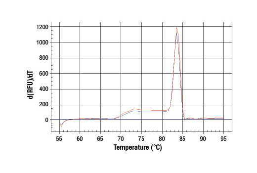 PCR product melting curves were obtained for real-time PCR reactions performed using SimpleChIP ® Mouse HoxA1 Promoter Primers. Data is shown for both duplicate PCR reactions using 20 ng of total DNA. The melt curve consists of 80 melt cycles, starting at 55°C with increments of 0.5°C per cycle. Each peak is formed from the degradation of a single PCR product.