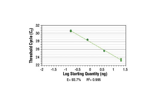 SimpleChIP ® Human HoxA2 Promoter Primers were tested on DNA isolated from cross-linked cells using the SimpleChIP ® Enzymatic Chromatin IP Kit (Magnetic Beads) #9003. Real-time PCR was performed in duplicate on a serial dilution of 2% total input DNA (20 ng, 4 ng, 0.8 ng, and 0.16 ng) using a real-time PCR detection system and SYBR ® Green reaction mix. The PCR amplification efficiency (E) and correlation coefficient (R 2 ) were calculated based on the corresponding threshold cycle (C T ) of each dilution sample during 40 cycles of real-time PCR (95°C denaturation for 15 sec, 65°C anneal/extension for 60 sec).