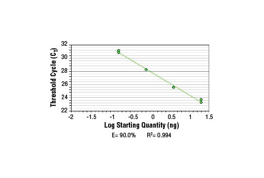 SimpleChIP ® Mouse HoxD10 Exon 1 Primers were tested on DNA isolated from cross-linked cells using the SimpleChIP ® Enzymatic Chromatin IP Kit (Magnetic Beads) #9003. Real-time PCR was performed in duplicate on a serial dilution of 2% total input DNA (20 ng, 4 ng, 0.8 ng, and 0.16 ng) using a real-time PCR detection system and SYBR ® Green reaction mix. The PCR amplification efficiency (E) and correlation coefficient (R 2 ) were calculated based on the corresponding threshold cycle (C T ) of each dilution sample during 40 cycles of real-time PCR (95°C denaturation for 15 sec, 65°C anneal/extension for 60 sec).