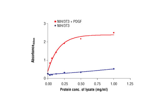  The relationship between lysate protein concentration from untreated and PDGF-treated NIH/3T3 cells and the absorbance at 450 nm using PathScan® Phospho-p44 MAPK (Thr202/Tyr204) Sandwich ELISA Antibody Pair #7278 is shown. NIH/3T3 cells were treated with PDGF for 5 minutes at 37ºC and then lysed.