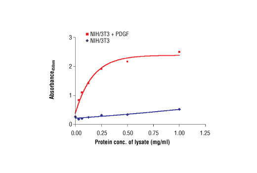 The relationship between lysate protein concentration from untreated and PDGF-treated NIH/3T3 cells and the absorbance at 450 nm using PathScan® Phospho-p44 MAPK (Thr202/Tyr204) Sandwich ELISA Antibody Pair #7278 is shown. NIH/3T3 cells were treated with PDGF for 5 minutes at 37ºC and then lysed.