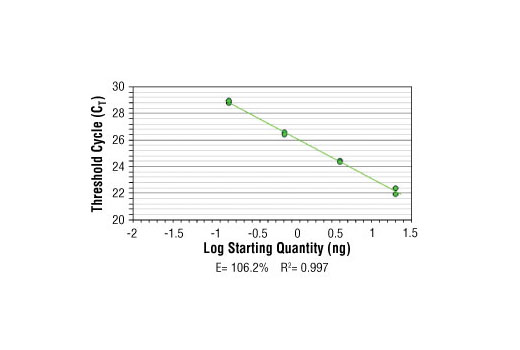 SimpleChIP ® Human H19/Igf2 Imprinting Control Region Primers were tested on DNA isolated from cross-linked cells using the SimpleChIP ® Enzymatic Chromatin IP Kit (Magnetic Beads) #9003. Real-time PCR was performed in duplicate on a serial dilution of 2% total input DNA (20 ng, 4 ng, 0.8 ng, and 0.16 ng) using a real-time PCR detection system and SYBR ® Green reaction mix. The PCR amplification efficiency (E) and correlation coefficient (R 2 ) were calculated based on the corresponding threshold cycle (C T ) of each dilution sample during 40 cycles of real-time PCR (95°C denaturation for 15 sec, 60°C anneal/extension for 60 sec).
