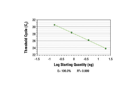 SimpleChIP ® Mouse MEST Intron 1 Primers were tested on DNA isolated from cross-linked cells using the SimpleChIP ® Enzymatic Chromatin IP Kit (Magnetic Beads) #9003. Real-time PCR was performed in duplicate on a serial dilution of 2% total input DNA (20 ng, 4 ng, 0.8 ng, and 0.16 ng) using a real-time PCR detection system and SYBR ® Green reaction mix. The PCR amplification efficiency (E) and correlation coefficient (R 2 ) were calculated based on the corresponding threshold cycle (C T ) of each dilution sample during 40 cycles of real-time PCR (95°C denaturation for 15 sec, 65°C anneal/extension for 60 sec).