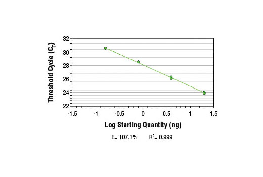 SimpleChIP ® Mouse MEST Promoter Primers were tested on DNA isolated from cross-linked cells using the SimpleChIP ® Enzymatic Chromatin IP Kit (Magnetic Beads) #9003. Real-time PCR was performed in duplicate on a serial dilution of 2% total input DNA (20 ng, 4 ng, 0.8 ng, and 0.16 ng) using a real-time PCR detection system and SYBR ® Green reaction mix. The PCR amplification efficiency (E) and correlation coefficient (R 2 ) were calculated based on the corresponding threshold cycle (C T ) of each dilution sample during 40 cycles of real-time PCR (95°C denaturation for 15 sec, 65°C anneal/extension for 60 sec).