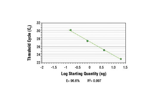 SimpleChIP ® Human MITF Promoter Primers were tested on DNA isolated from cross-linked cells using the SimpleChIP ® Enzymatic Chromatin IP Kit (Magnetic Beads) #9003. Real-time PCR was performed in duplicate on a serial dilution of 2% total input DNA (20 ng, 4 ng, 0.8 ng, and 0.16 ng) using a real-time PCR detection system and SYBR ® Green reaction mix. The PCR amplification efficiency (E) and correlation coefficient (R 2 ) were calculated based on the corresponding threshold cycle (C T ) of each dilution sample during 40 cycles of real-time PCR (95°C denaturation for 15 sec, 65°C anneal/extension for 60 sec).