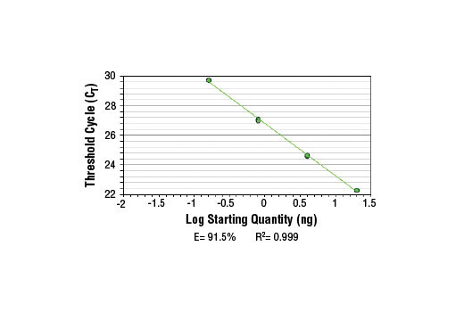 SimpleChIP ® Mouse MYT-1 Promoter Primers were tested on DNA isolated from cross-linked cells using the SimpleChIP ® Enzymatic Chromatin IP Kit (Magnetic Beads) #9003. Real-time PCR was performed in duplicate on a serial dilution of 2% total input DNA (20 ng, 4 ng, 0.8 ng, and 0.16 ng) using a real-time PCR detection system and SYBR ® Green reaction mix. The PCR amplification efficiency (E) and correlation coefficient (R 2 ) were calculated based on the corresponding threshold cycle (C T ) of each dilution sample during 40 cycles of real-time PCR (95°C denaturation for 15 sec, 65°C anneal/extension for 60 sec).