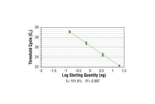 SimpleChIP ® Human MYT-1 Exon 1 Primers were tested on DNA isolated from cross-linked cells using the SimpleChIP ® Enzymatic Chromatin IP Kit (Magnetic Beads) #9003. Real-time PCR was performed in duplicate on a serial dilution of 2% total input DNA (20 ng, 4 ng, 0.8 ng, and 0.16 ng) using a real-time PCR detection system and SYBR ® Green reaction mix. The PCR amplification efficiency (E) and correlation coefficient (R 2 ) were calculated based on the corresponding threshold cycle (C T ) of each dilution sample during 40 cycles of real-time PCR (95°C denaturation for 15 sec, 60°C anneal/extension for 60 sec).